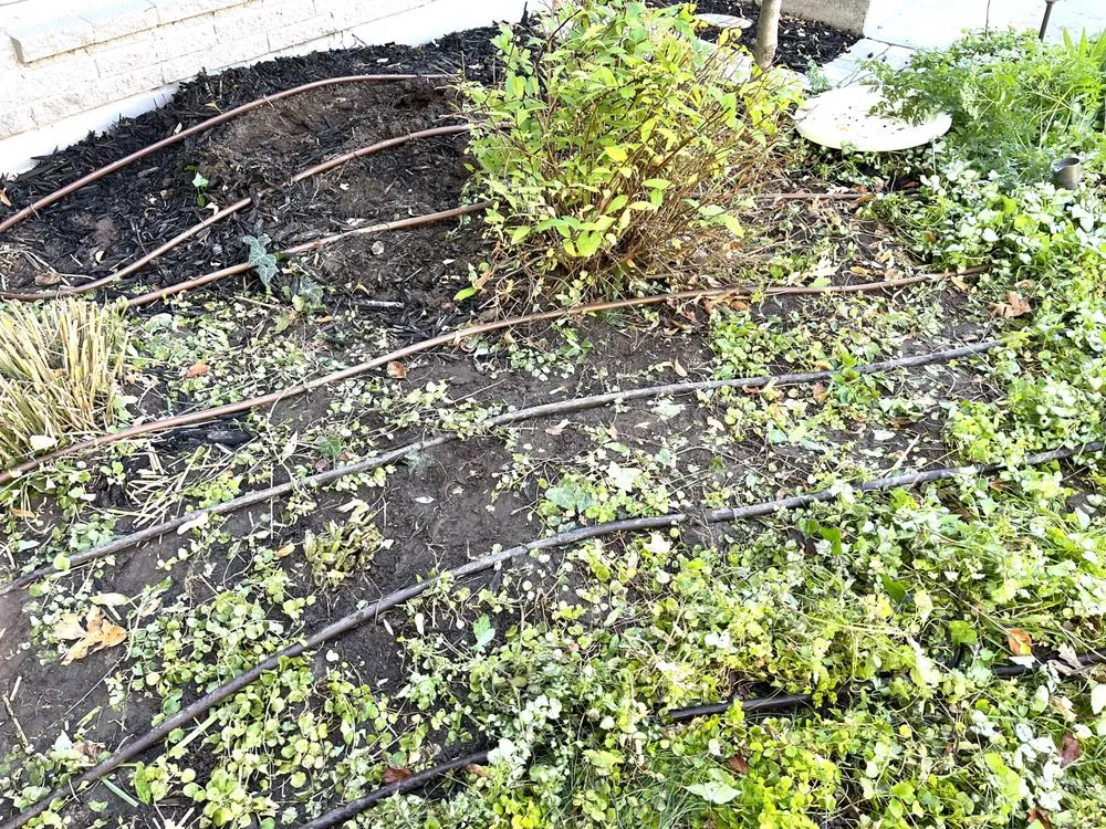 Affordable residential landscaping for homes across Cottonwood Heights, UT - Kodiak Landscape