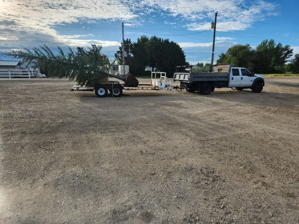 Expert lawn mowing service in Meridian, ID by Kodiak Landscape