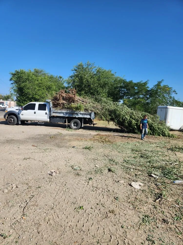 Affordable outdoor landscaping experts serving Meridian, ID - Kodiak Landscape