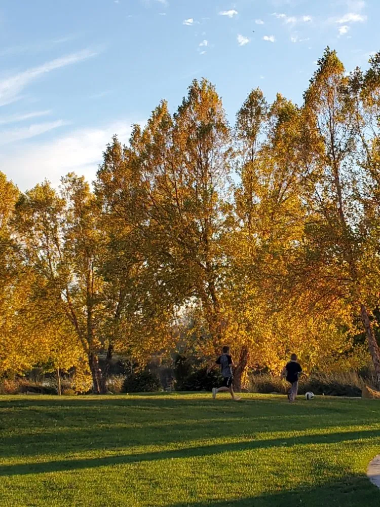 Trusted landscape installation in Meridian, ID - Kodiak Landscape