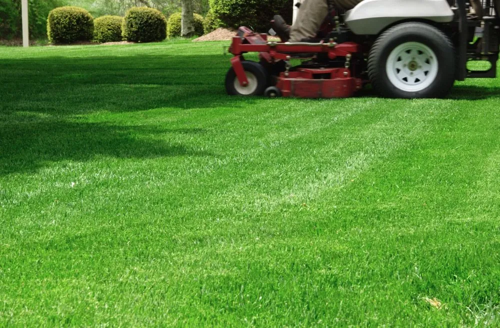 Professional landscape installation experts serving Huson, MT - Kodiak Lawn Care