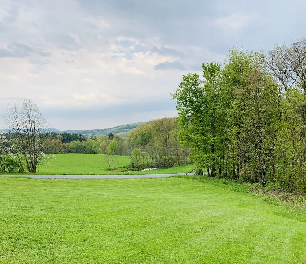 Custom yard maintenance for year-round maintenance in Troy, NY by Kodiak Lawn Care