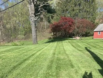 Custom yard maintenance experts serving Troy, NY - Kodiak Lawn Care