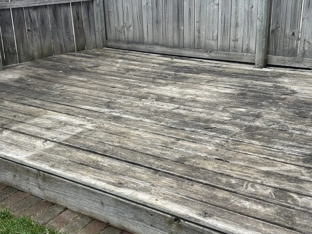 Professional yard maintenance experts serving Sheboygan, WI - Kodiak Power Wash