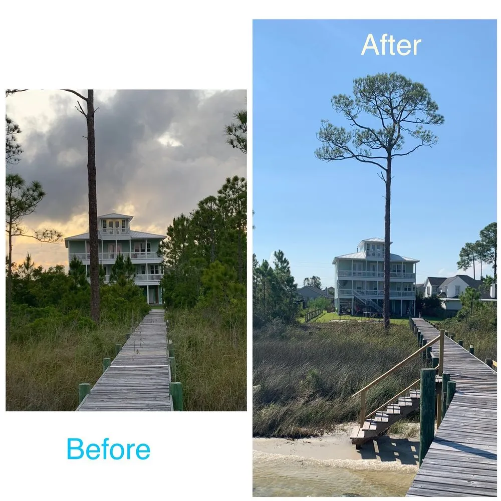 Reliable landscaping services in Valparaiso, FL by Kodiak Tree Service