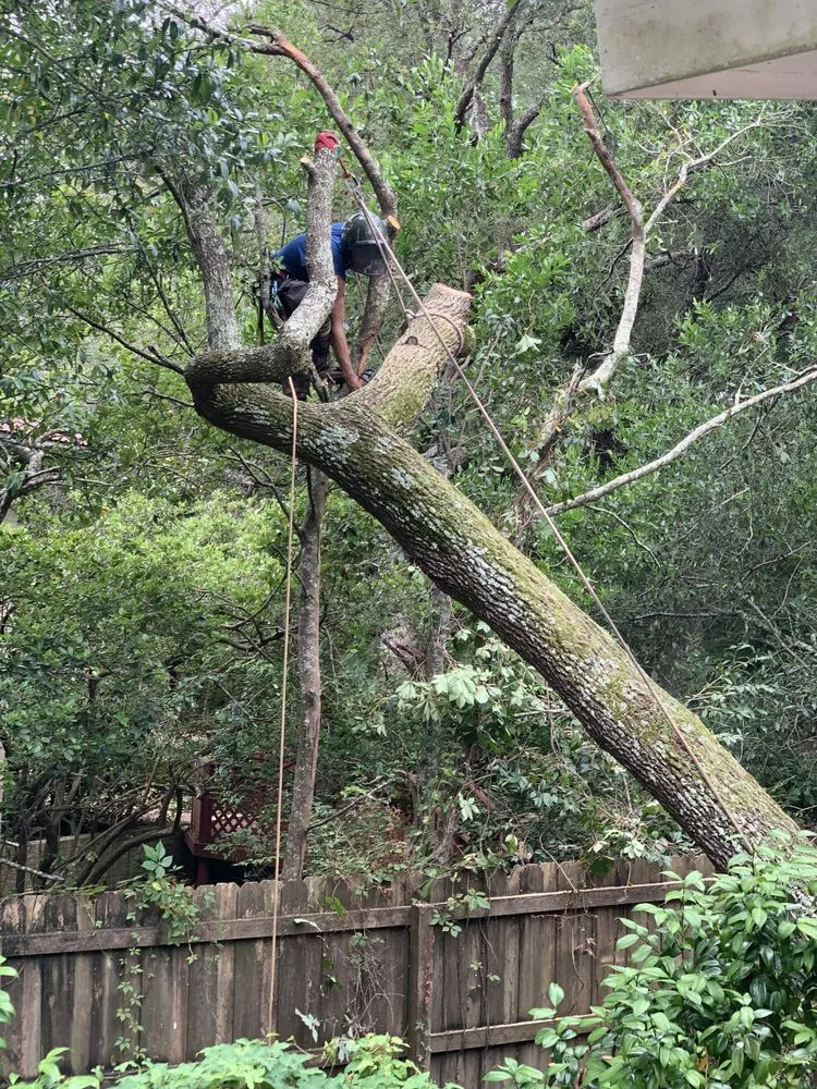 Professional garden landscaping experts serving Valparaiso, FL - Kodiak Tree Service