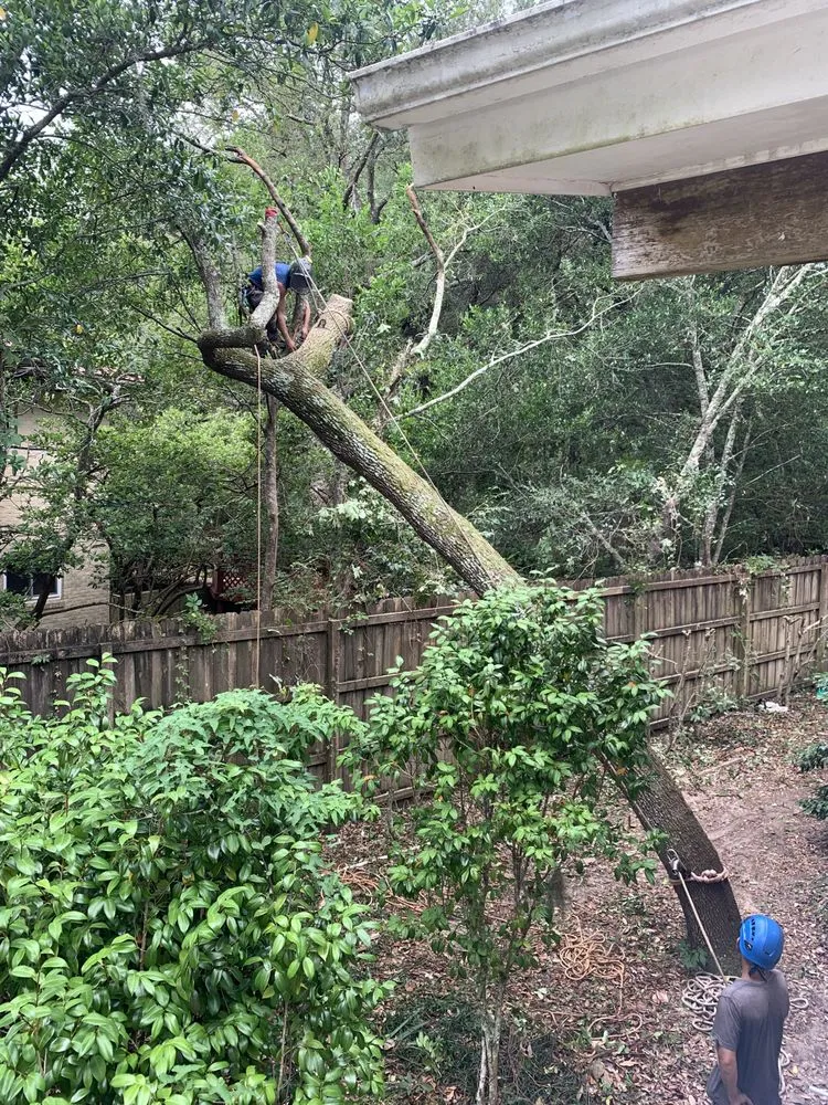 Expert yard maintenance with custom design across Valparaiso, FL - Kodiak Tree Service