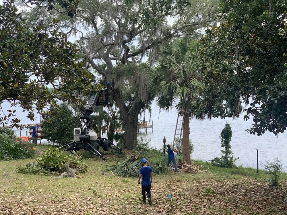 Affordable landscape installation in Valparaiso, FL by Kodiak Tree Service