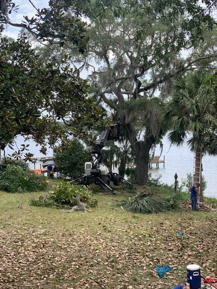 Professional yard maintenance for residential properties in Valparaiso, FL by Kodiak Tree Service