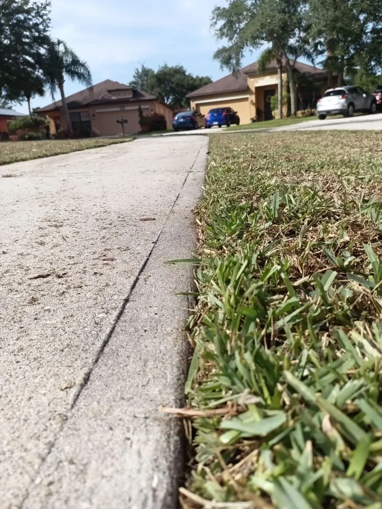 Local outdoor landscaping in Palm Bay, FL - Kodi's Tree Trimming & Landscaping