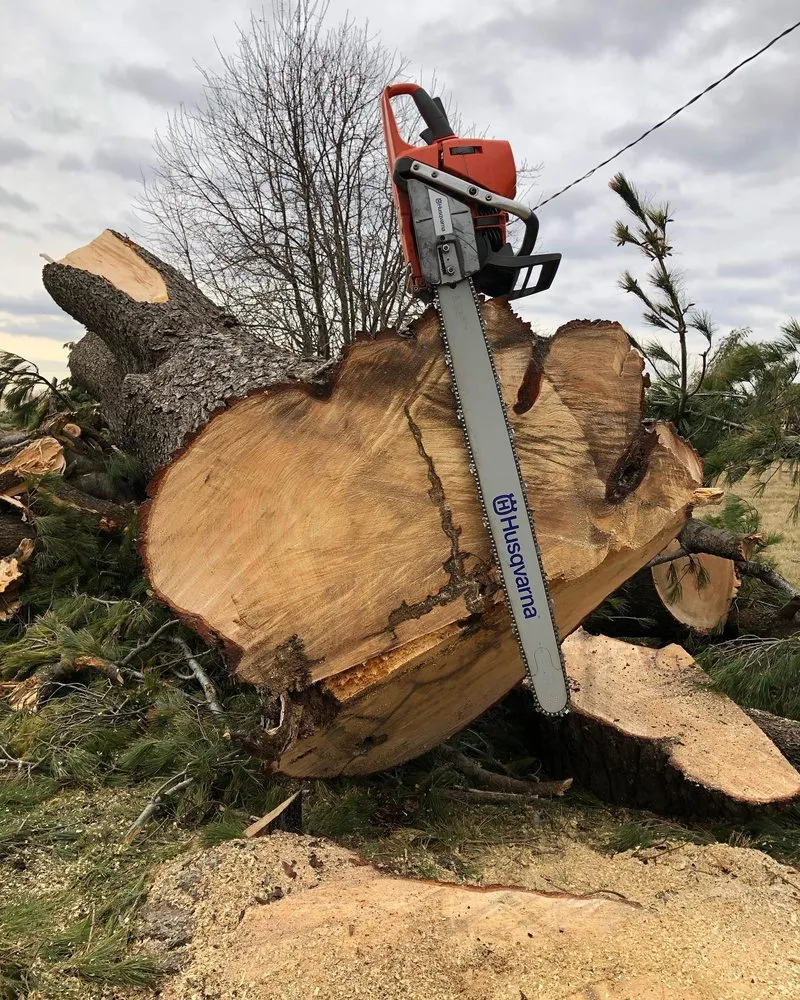 Trusted residential landscaping with custom design in Austin, MN by Koehlers Yard Service