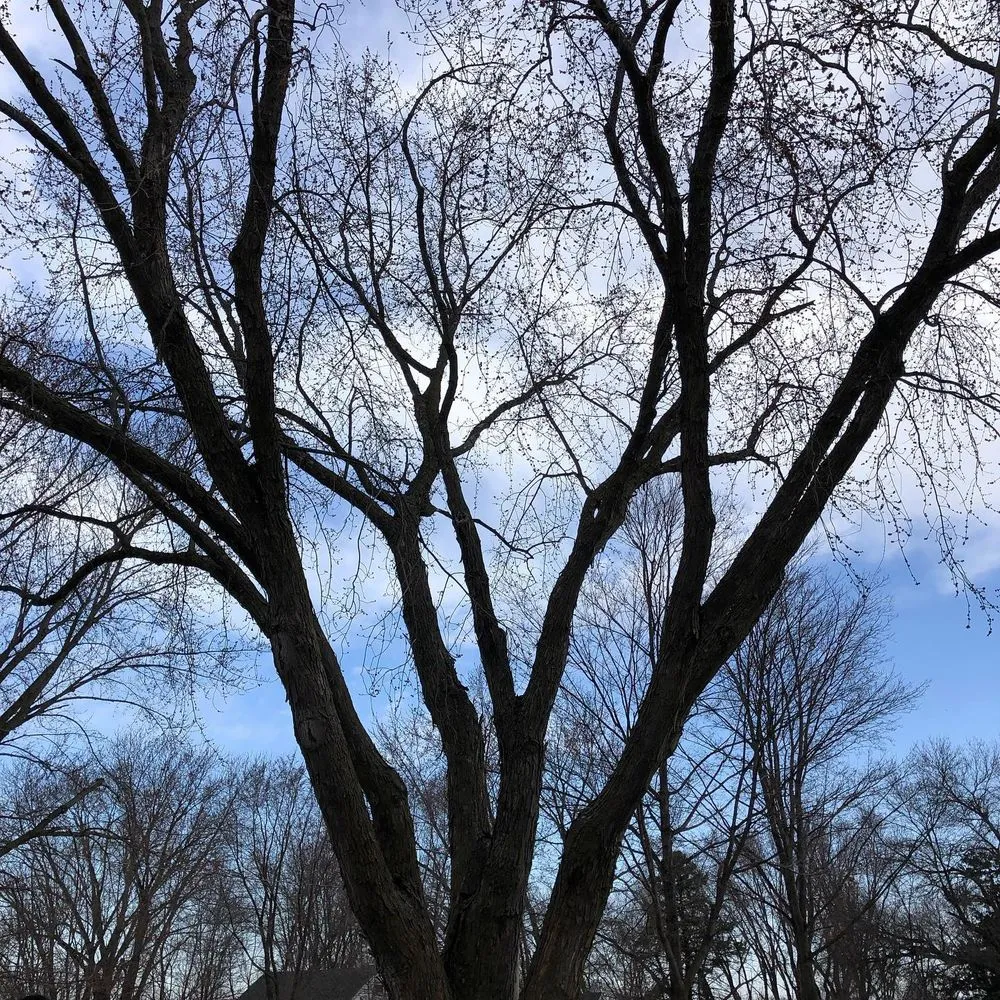 Reliable residential landscaping near you across Austin, MN - Koehlers Yard Service