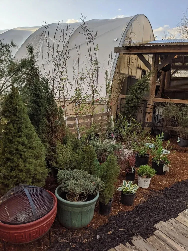 Professional lawn care service with custom design across Ulysses, KS - Koehn's Country Gardens