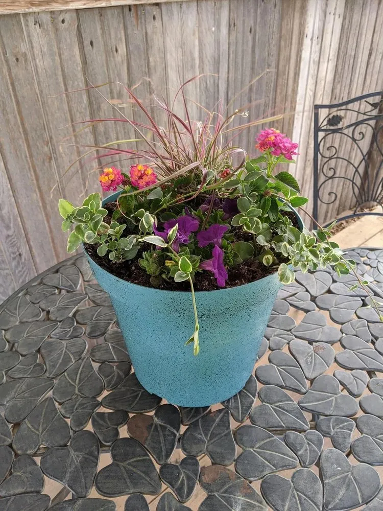 Trusted outdoor landscaping for outdoor upgrades in Ulysses, KS by Koehn's Country Gardens