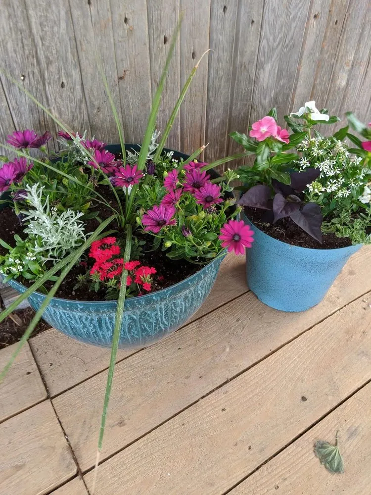 Reliable lawn care service in Ulysses, KS by Koehn's Country Gardens