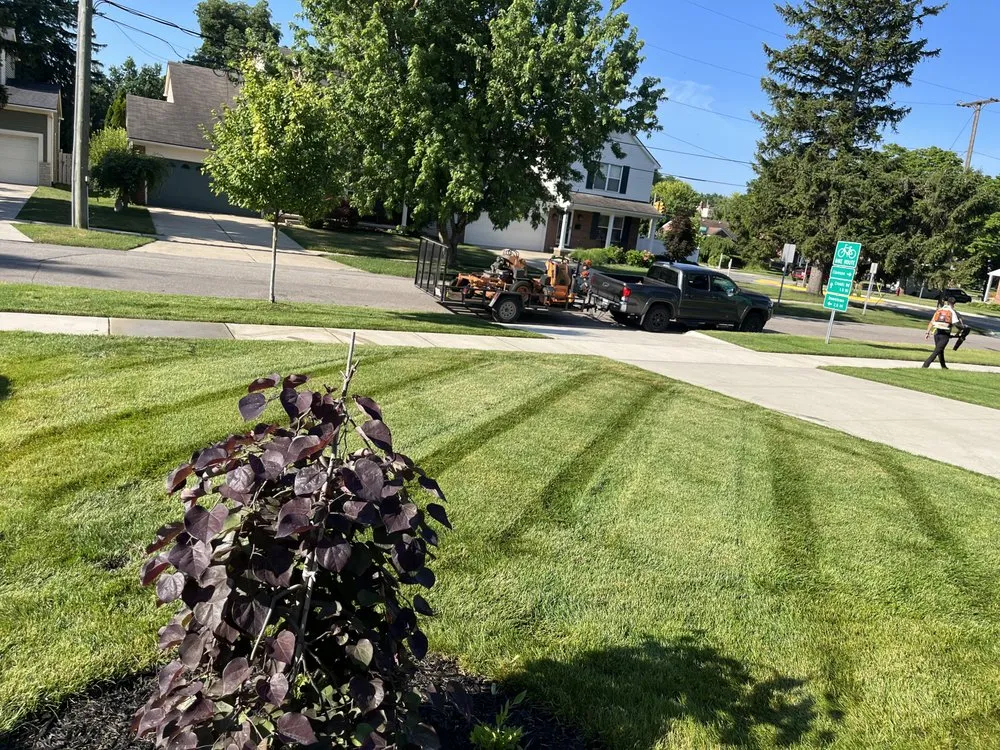 Expert landscaping services experts serving Royal Oak, MI - Koen Landscape Group