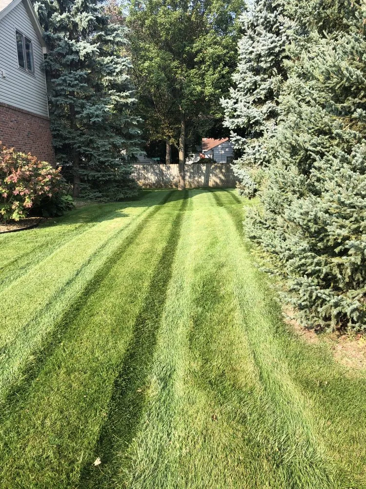Professional yard maintenance for year-round maintenance in Royal Oak, MI by Koen Landscape Group