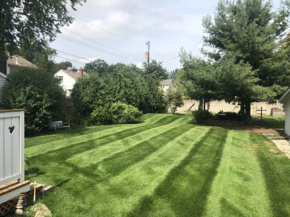 Professional outdoor landscaping for beautiful yards across Royal Oak, MI - Koen Landscape Group
