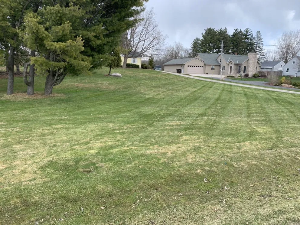 Expert lawn care service near you across Hayward, WI - Kofron’s Property Care