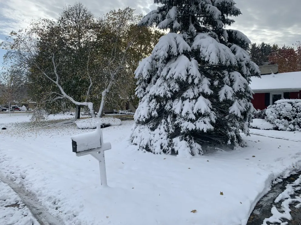 Top-rated lawn care service experts serving Hayward, WI - Kofron’s Property Care