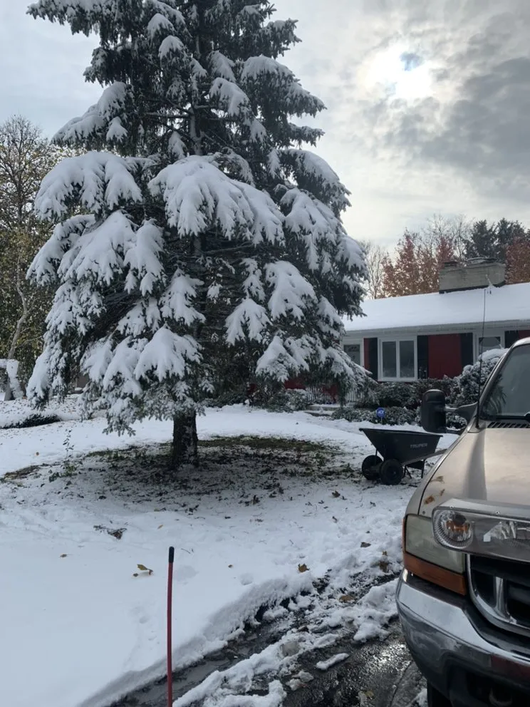 Top-rated yard maintenance in Hayward, WI - Kofron’s Property Care