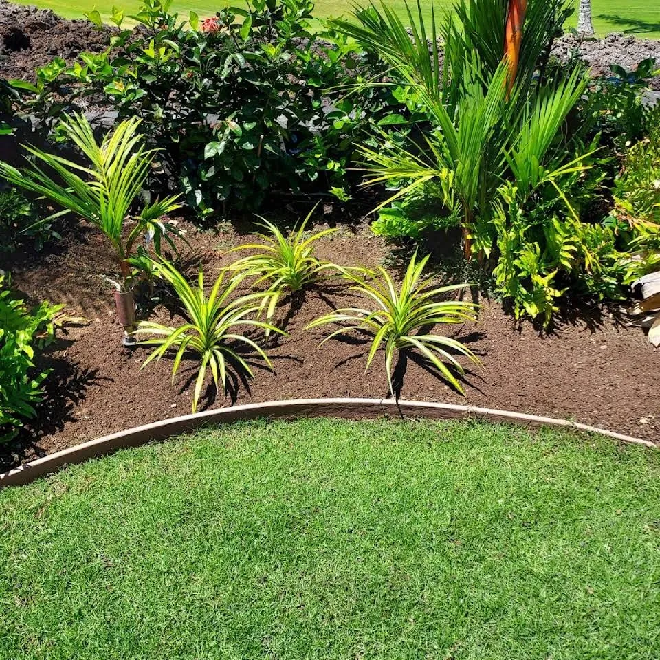 Top-rated lawn care service experts serving Waikoloa Village, HI - Kohala Landscaping