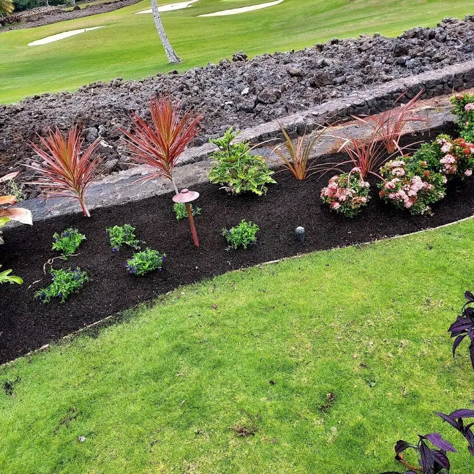 Top-rated lawn mowing service in Waikoloa Village, HI - Kohala Landscaping