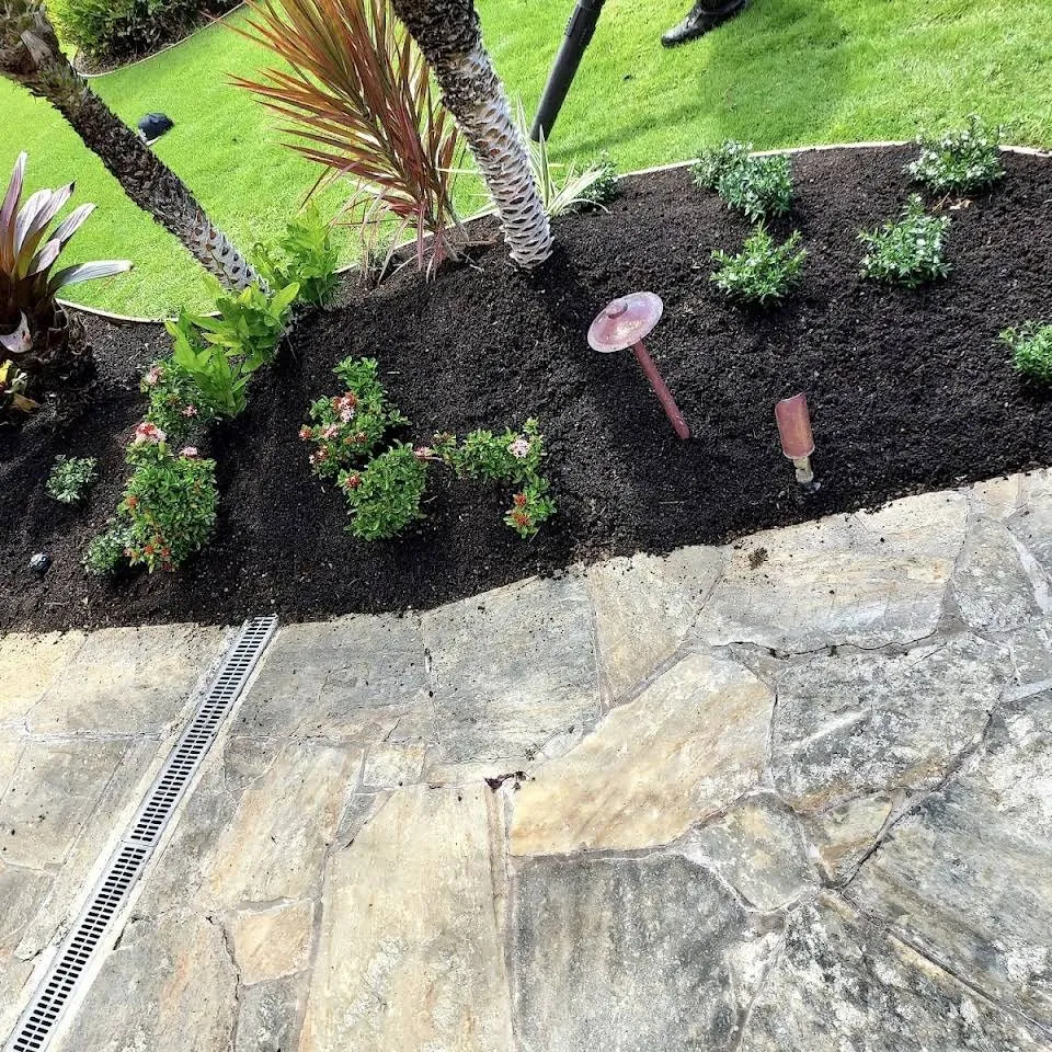 Affordable yard maintenance in Waikoloa Village, HI by Kohala Landscaping