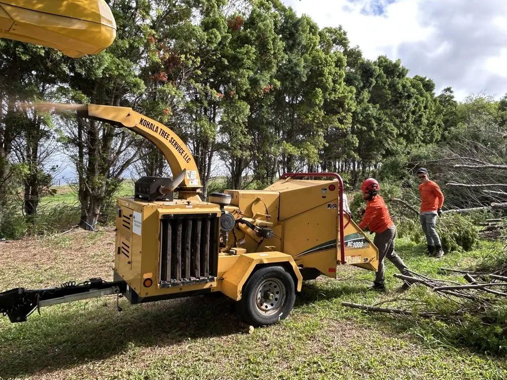 Reliable residential landscaping in Kapaau, HI - Kohala Tree Service