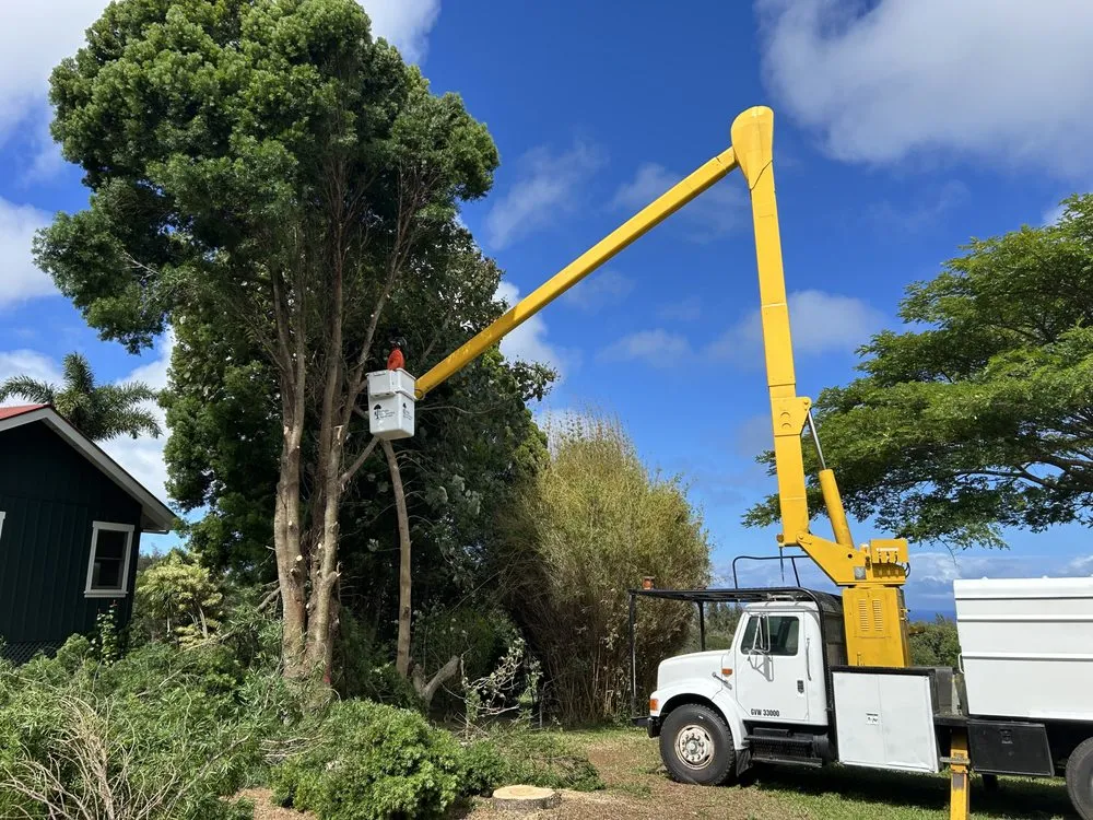 Custom residential landscaping in Kapaau, HI - Kohala Tree Service