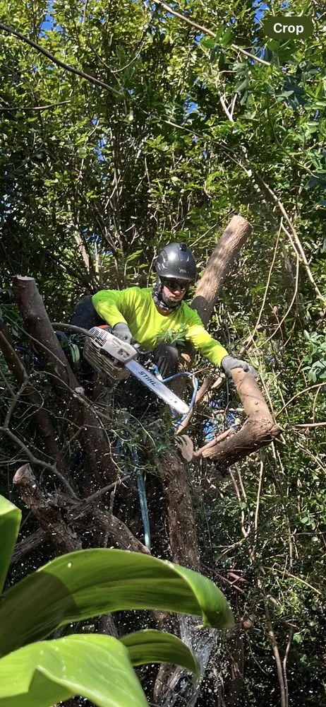 Expert outdoor landscaping in Kapaau, HI by Kohala Tree Service