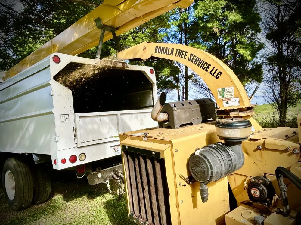 Professional lawn care service experts serving Kapaau, HI - Kohala Tree Service