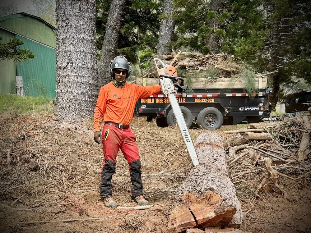 Reliable yard maintenance in Kapaau, HI - Kohala Tree Service