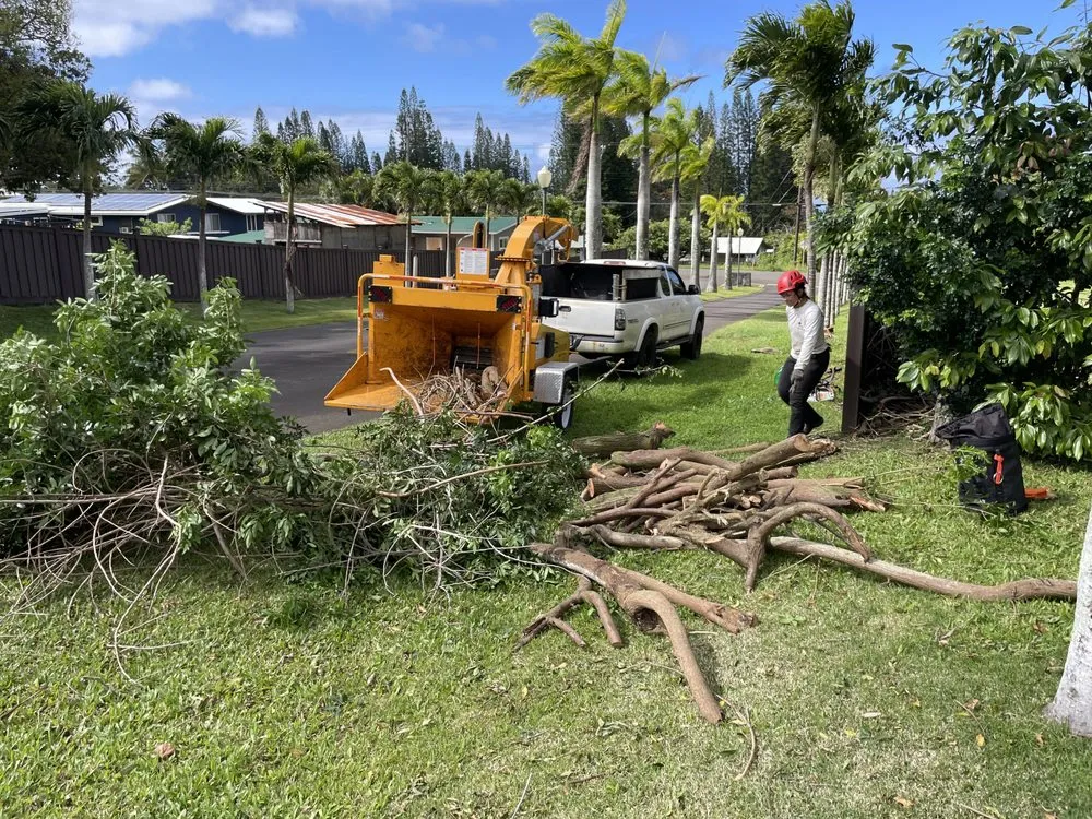 Expert landscape design for homes across Kapaau, HI - Kohala Tree Service
