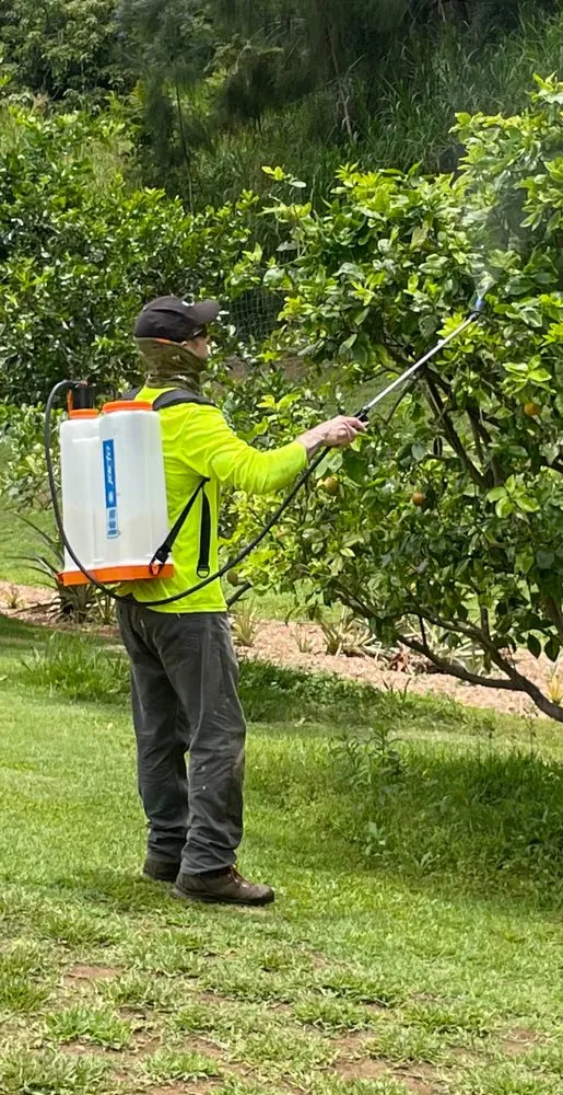 Top-rated residential landscaping experts serving Kapaau, HI - Kohala Tree Service