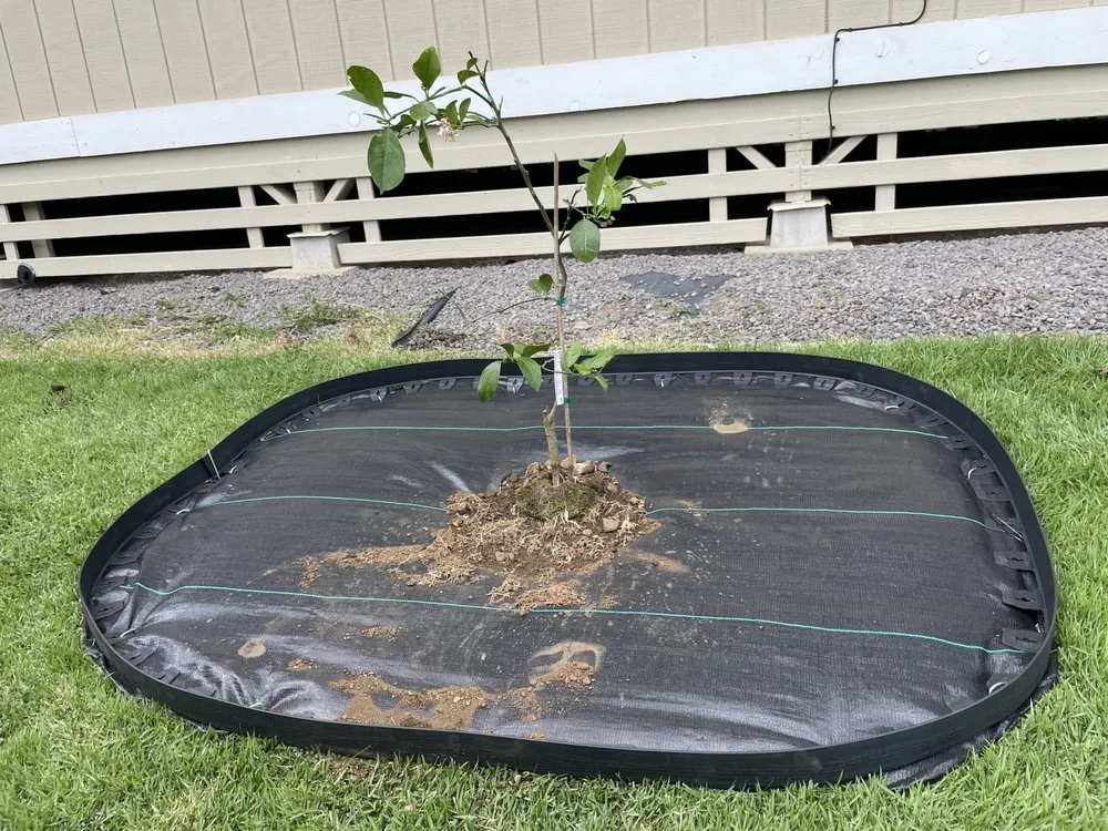 Custom landscape installation for year-round maintenance in Kapaau, HI by Kohala Tree Service