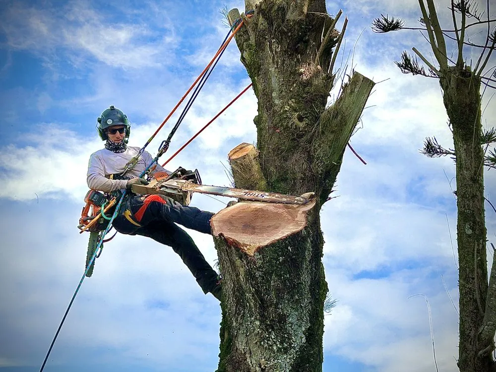 Top-rated garden landscaping experts serving Kapaau, HI - Kohala Tree Service