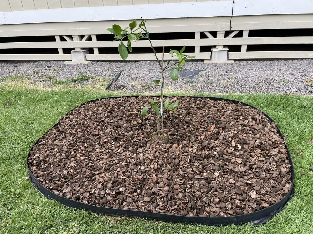 Top-rated landscape installation in Kapaau, HI - Kohala Tree Service