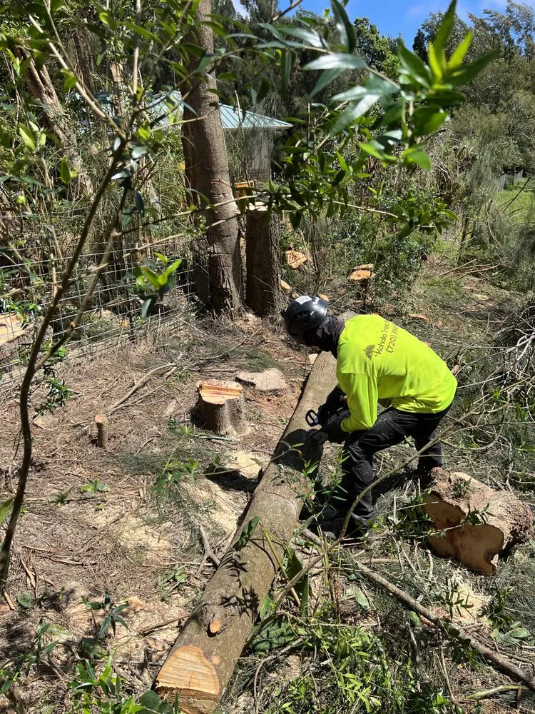 Trusted lawn mowing service in Kapaau, HI - Kohala Tree Service