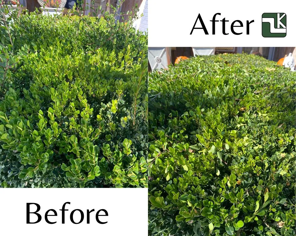 Expert outdoor landscaping for outdoor upgrades across Amarillo, TX - Kohler Lawn & Landscape