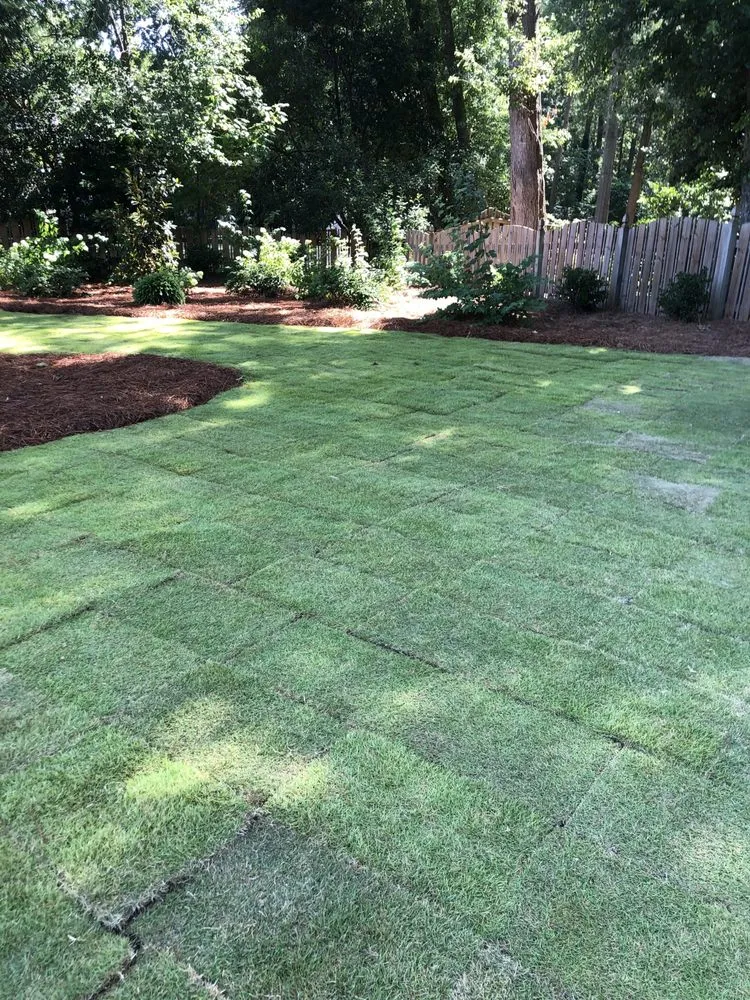 Trusted lawn mowing service for residential properties across Amarillo, TX - Kohler Lawn & Landscape