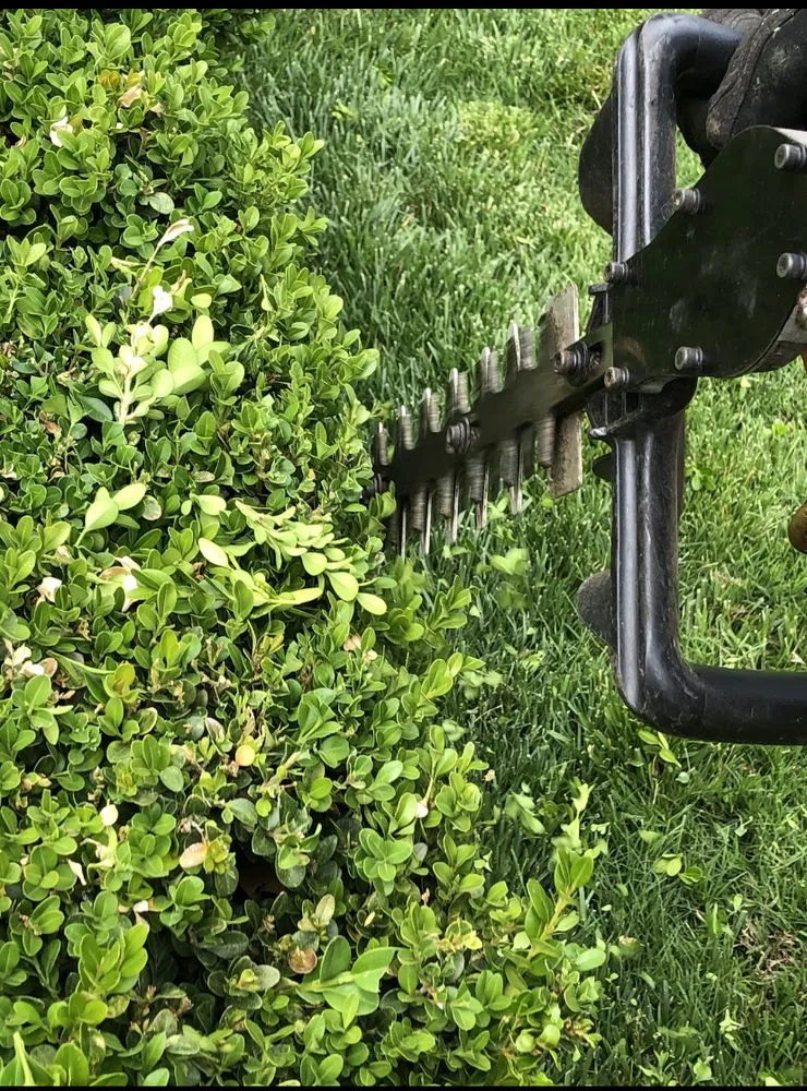 Top-rated lawn mowing service with custom design in Amarillo, TX by Kohler Lawn & Landscape