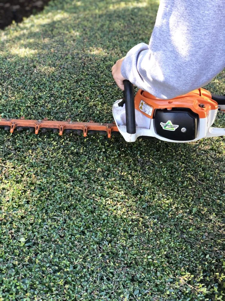 Affordable outdoor landscaping for beautiful yards in Amarillo, TX by Kohler Lawn & Landscape