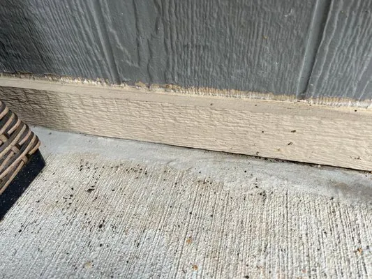 Kohler Lawn & Outdoor