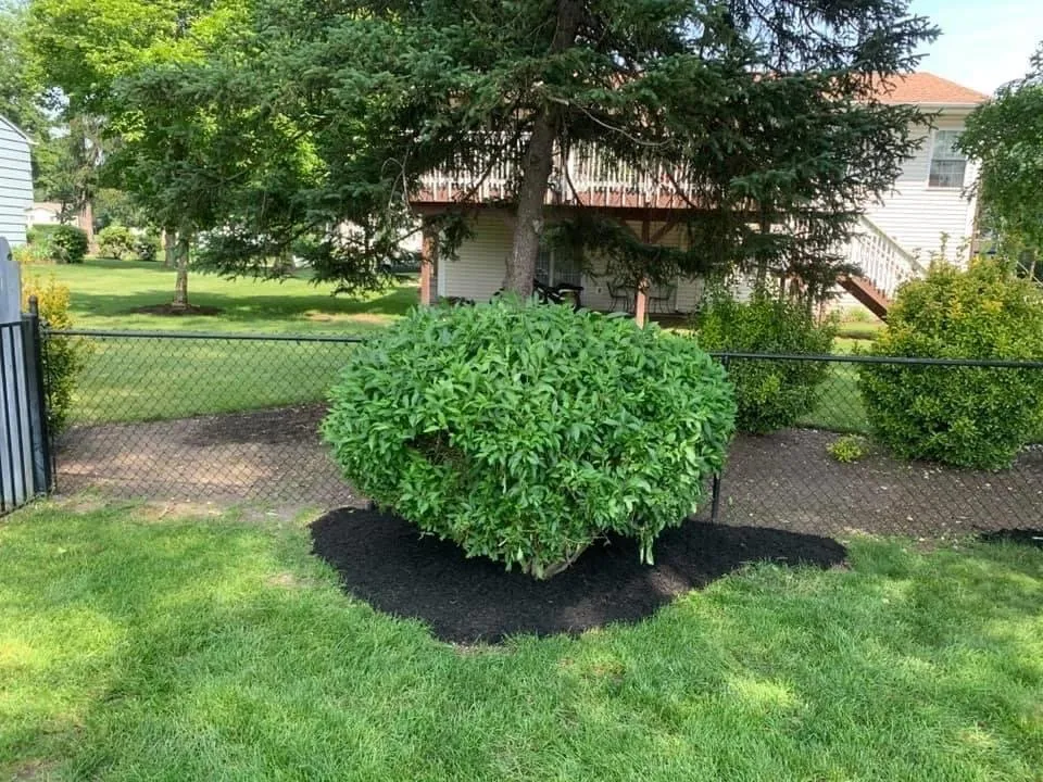 Local residential landscaping for beautiful yards in Pequannock Township, NJ by Kohle's Landscaping Services