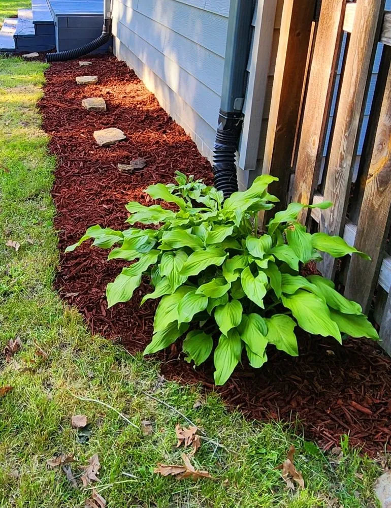 Expert landscape installation experts serving Prophetstown, IL - Kohls Cuts