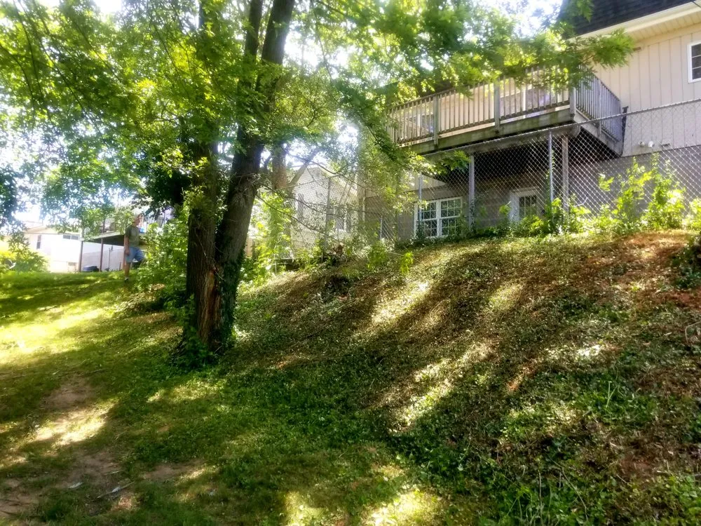 Affordable yard cleanup service for residential properties in Prophetstown, IL by Kohls Cuts