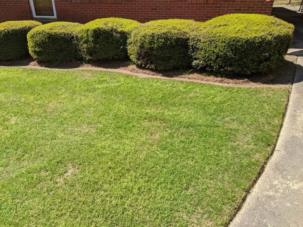 Expert landscaping services experts serving Hephzibah, GA - Kohn's Lawn Care & More