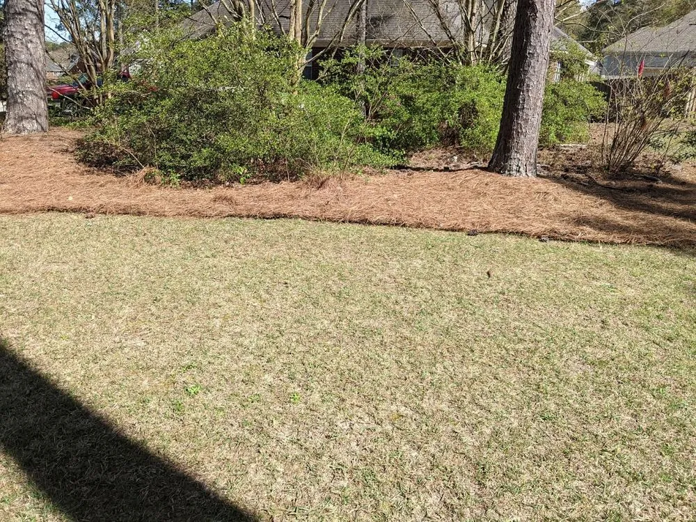 Custom yard maintenance in Hephzibah, GA by Kohn's Lawn Care & More