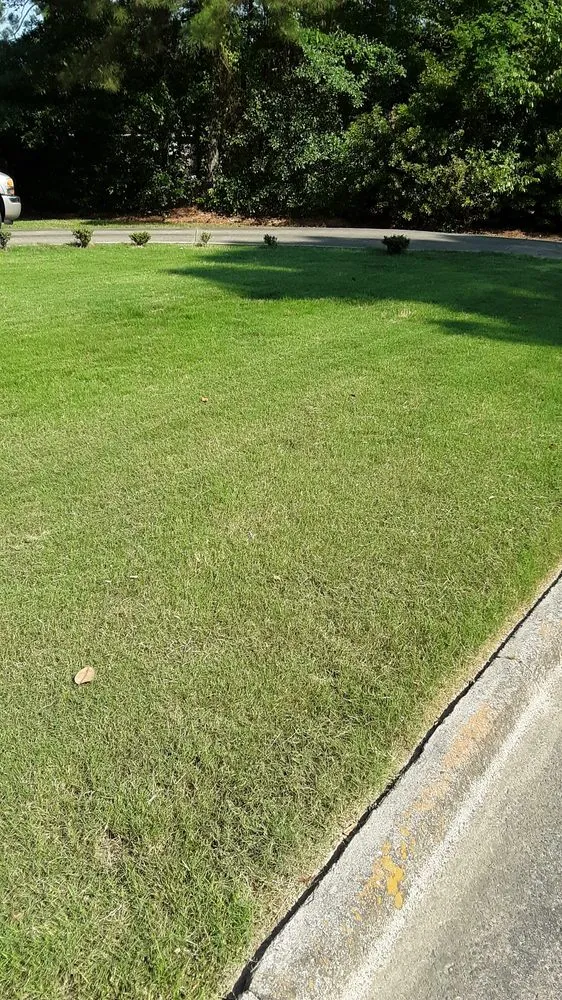 Affordable yard cleanup service for residential properties in Hephzibah, GA by Kohn's Lawn Care & More